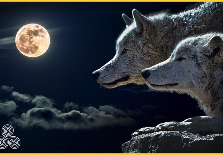 Despite what’s going on around you, you have a choice as to how you respond to it